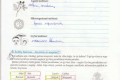 3_biologija_5_klase_virselis_eureka