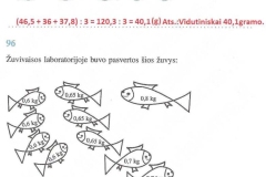 43_matematika_ir_pasaulis_5_klase_2dalis