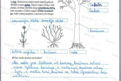 1_biologija_6_klase_eureka_1dalis