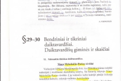 8lietuviu_kalba_2dalis_pratybos_6_klase