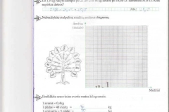 5_matematika_6_klase_matematika_ir_pasaulis_1dalis