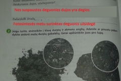 16_biologija_6_klase_mokslininku_pedomis_2dalis