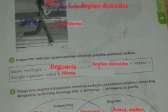 21_biologija_6_klase_mokslininku_pedomis_2dalis