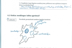 19_7_klase_biologija_biologijos_1_pratybos33_