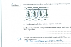 20_7_klase_biologija_biologijos_1_pratybos33_