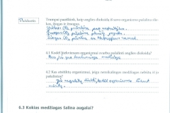 21_7_klase_biologija_biologijos_1_pratybos33_