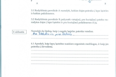 23_7_klase_biologija_biologijos_1_pratybos33_