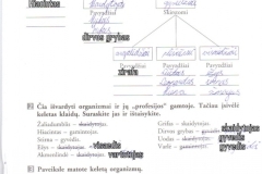 37_7_klase_biologija_biologijos_1_pratybos33_