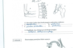 8_7_klase_biologija_biologijos_1_pratybos33_