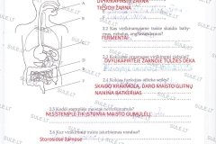 15_sep_klase_biologija_pratybu_sasiuvinis_1dalis1