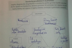 26_7_klase_biologija_biologijos_uzduotys_1dalis_