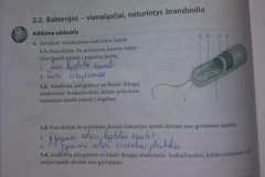 38_7_klase_biologija_biologijos_uzduotys_1dalis_