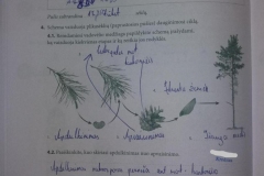 74_7_klase_biologija_biologijos_uzduotys_1dalis_
