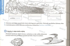 20_7_klase_geografija_zeme1dalis_