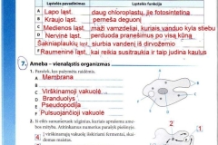 04_9klase_biologija_tau_pratybos_