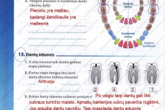 20_9klase_biologija_tau_pratybos_