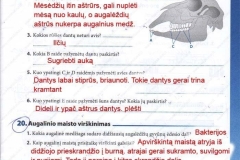 23_9klase_biologija_tau_pratybos_