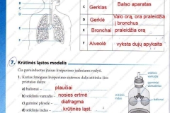 26_9klase_biologija_tau_pratybos_