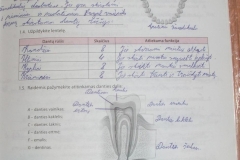 57_9klase_biologija_biologijos_pratybos_1_kitos_