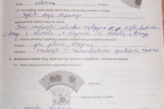 75_9klase_biologija_biologijos_pratybos_1_kitos_