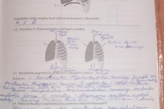 77_9klase_biologija_biologijos_pratybos_1_kitos_