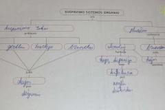 80_9klase_biologija_biologijos_pratybos_1_kitos_