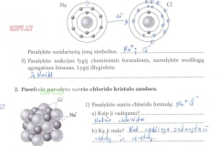 11_9klase_chemija_chemijos_prat_1dalis_