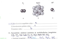 26_9klase_chemija_chemijos_prat_1dalis_