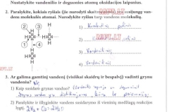 37_9klase_chemija_chemijos_prat_1dalis_