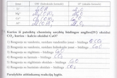 95_9klase_chemija_chemijos_prat_1dalis_