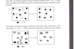 19_9klase_chemija_chemijos_pratybos_p_