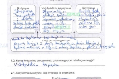 03_9klase_biologija_pazink_gyvybe_1dalis_