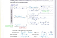 04_9klase_biologija_pazink_gyvybe_1dalis_