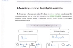 18_9klase_biologija_pazink_gyvybe_1dalis_