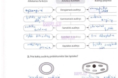 20_9klase_biologija_pazink_gyvybe_1dalis_