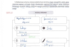 26_9klase_biologija_pazink_gyvybe_1dalis_