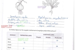 27_9klase_biologija_pazink_gyvybe_1dalis_