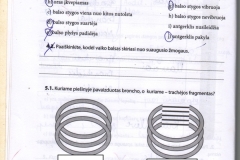 06_9klase_biologija_pazink_gyvybe_2dalis_