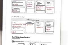 21_9klase_biologija_pazink_gyvybe_2dalis_