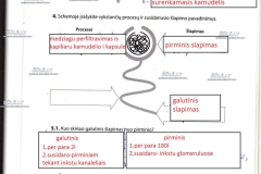 29_9klase_biologija_pazink_gyvybe_2dalis_