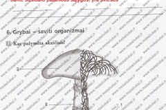 biologija7kl1dalis-16