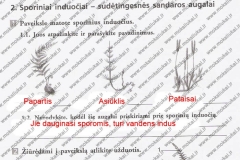 biologija7kl1dalis-23