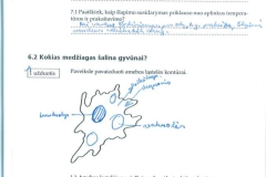 biologija7kl2dalis-16