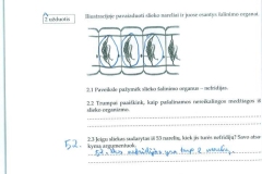 biologija7kl2dalis-17