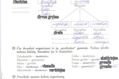 biologija7kl2dalis-23