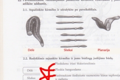 biologija7kl2dalis-3