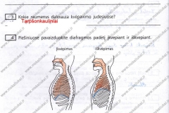 biologija9kl2dalis-04