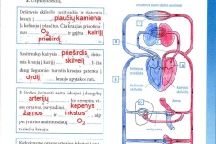 biologija9kl1-25