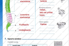 biologija9kl1-44