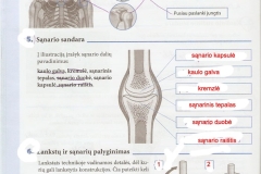 biologija9kl-09